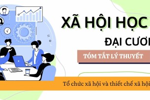 Tổ chức xã hội và thiết chế xã hội | Tóm tắt lý thuyết Xã hội học đại cương | VNU (2025)