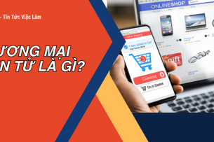 Thương mại điện tử là gì? Mô hình B2C, B2B, C2B, C2C là gì?