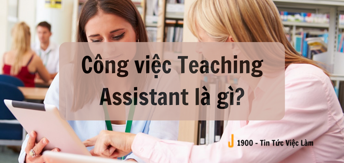 Teaching assistant là gì?  Những kỹ năng quan trọng để trở thành trợ giảng tiếng Anh xuất sắc