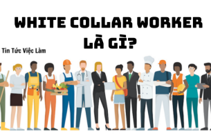 White-collar worker là gì? Một số đặc điểm chung của white-collar workers