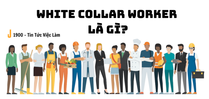 White-collar worker là gì? Một số đặc điểm chung của white-collar workers