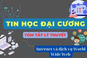Internet và dịch vụ World Wide Web? | Tóm tắt lý thuyết Tin học đại cương | Đại học Kinh Tế, Đại học Đà Nẵng (2025)