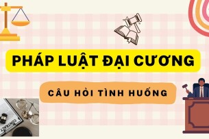 Câu hỏi tình huống Pháp luật đại cương | Đại học Thương Mại (2025)