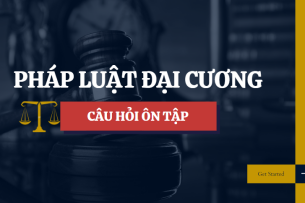 Ngân hàng câu hỏi Pháp luật đại cương | Tổng hợp nhiều trường Đại học (2025)