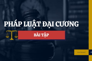 Bài tập về quyền thừa kế | Câu hỏi bài tập Pháp luật đại cương (2025)