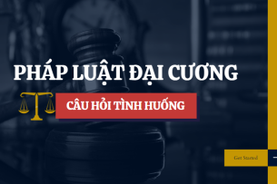 Top 25 câu hỏi tình huống môn Pháp luật đại cương hay nhất | Câu hỏi bài tập Pháp luật đại cương (2025)