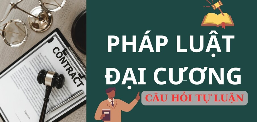 Top 27 câu hỏi tự luận ôn tập học phần Pháp luật đại cương chi tiết và đầy đủ nhất