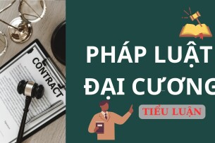 Top 8 tiểu luận Pháp luật đại cương hay, thuyết phục nhất (2025)