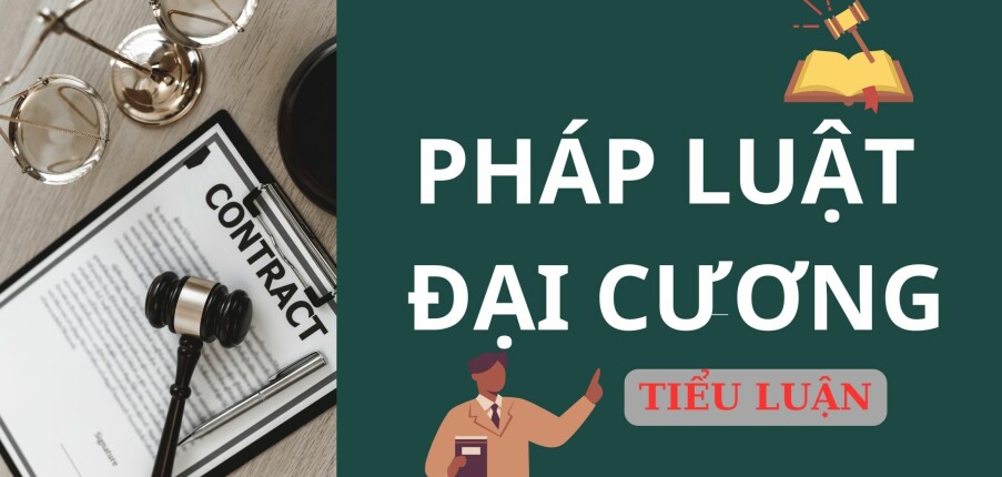 Top 8 tiểu luận Pháp luật đại cương hay, thuyết phục nhất