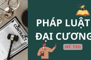 Top 5 đề thi Pháp luật đại cương hay nhất (có lời giải chi tiết) (2025)