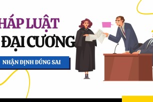 Top 82 Câu hỏi nhận định đúng sai Pháp luật đại cương hay nhất, chi tiết nhất (2025)