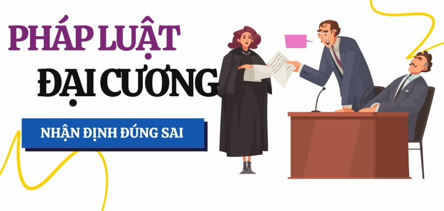 Top 82 Câu hỏi nhận định đúng sai Pháp luật đại cương hay nhất, chi tiết nhất