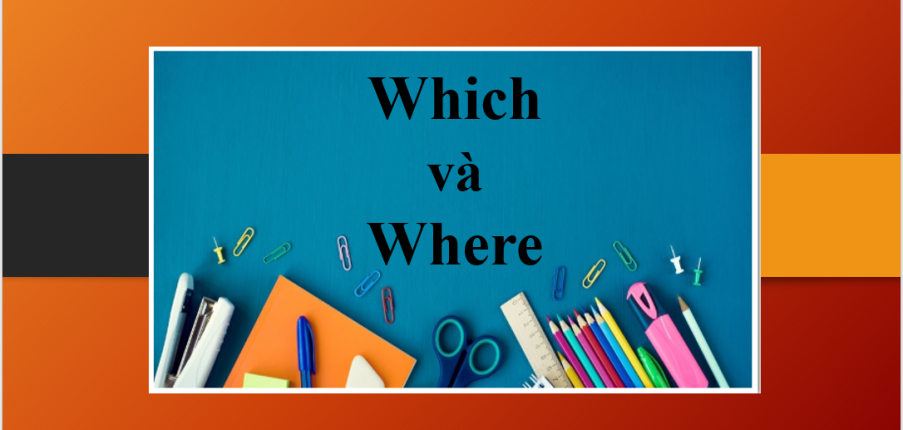 Which và Where | Định nghĩa, cách phân biệt và bài tập vận dụng