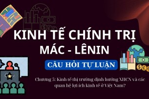 Kinh tế thị trường định hướng XHCN và các quan hệ lợi ích kinh tế ở Việt Nam? | Câu hỏi tự luận Kinh tế chính trị Mác - Lênin | Học viện ngân hàng (2025)