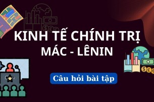 Ngân hàng Bài tập Kinh tế chính trị | Trường Đại Học Khoa Học Tự Nhiên (2025)