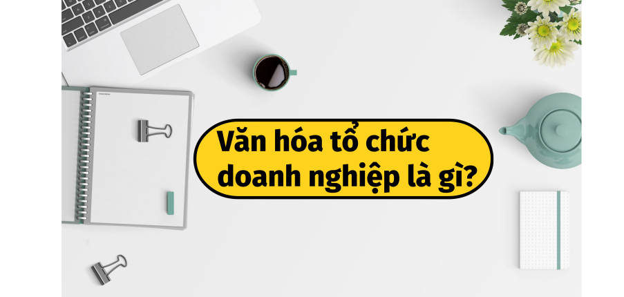 Văn hóa tổ chức là gì? 11 loại hình văn hóa tổ chức doanh nghiệp phổ biến