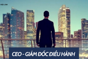 Giám đốc điều hành là gì? Những yêu cầu đối với vị trí giám đốc điều hành
