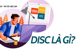DISC là gì? 4 nhóm tính cách của con người trong công cụ DISC