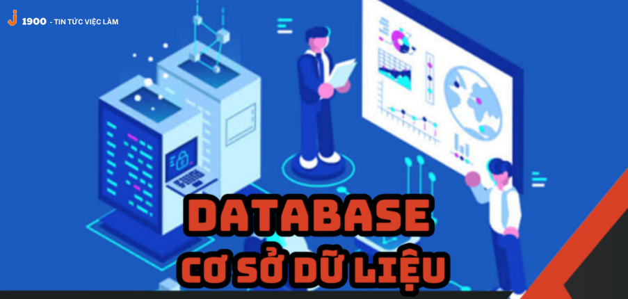 Database (cơ sở dữ liệu) là gì? Chức năng và những loại cơ sở dữ liệu phổ biến