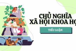 Tiểu luận Cơ cấu xã hội - giai cấp trong thời kỳ quá độ lên Chủ nghĩa xã hội | Học viện Ngân Hàng (2025)