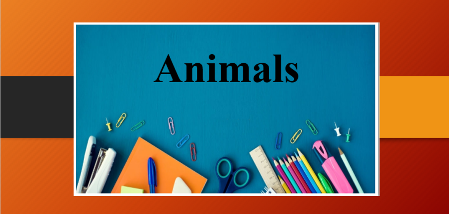 Animals | Bài mẫu IELTS Writing Task 2