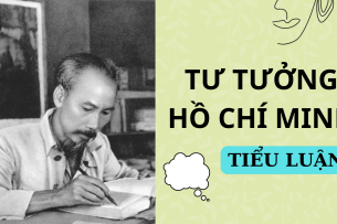 Mẫu tiểu luận Tư tưởng Hồ Chí Minh về xây dựng đội ngũ cán bộ, đảng viên | PDF | Đại Học Huế (2025)