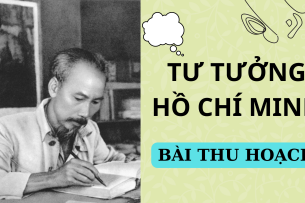 Mẫu bài thu hoạch Tư tưởng Hồ Chí Minh | PDF | Tổng hợp nhiều trường (2025)