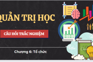 Top 80 Câu hỏi trắc nghiệm về TỔ CHỨC  | Quản trị học | Đại học Kinh tế, Đại học Đà Nẵng (2025)