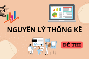 Đề thi kết thúc học phần môn Nguyên lý thống kê (2025)