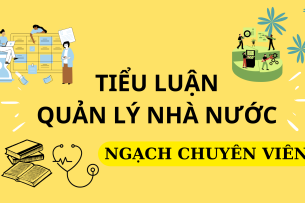 Mẫu tiểu luận tình huống quản lý nhà nước ngạch chuyên viên | PDF