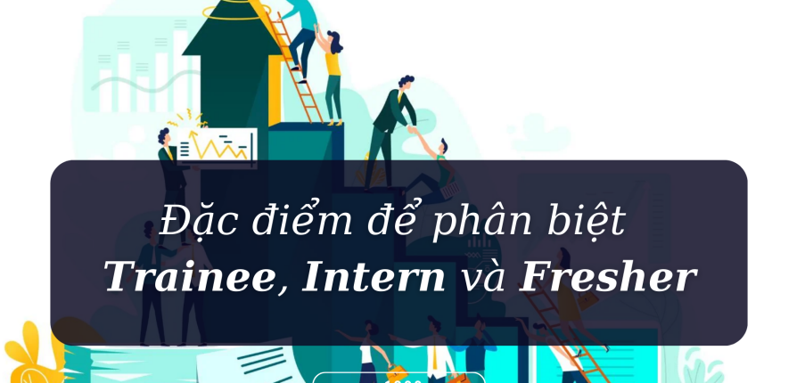 C I M Ph N Bi T Trainee Intern V Fresher