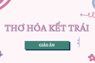 Mẫu Giáo án THƠ HOA KẾT TRÁI | PDF