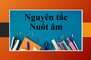 Nguyên tắc Nuốt âm | Định nghĩa, các trường hợp âm bị nuốt và cách luyện nuốt âm đơn giản (2025)