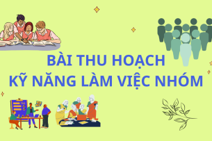Bài thu hoạch kỹ năng làm việc nhóm