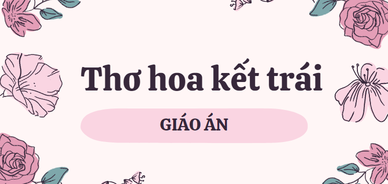 Mẫu Giáo án THƠ HOA KẾT TRÁI | PDF (2025)
