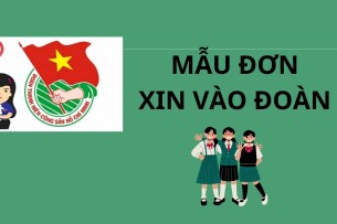 Mẫu đơn xin vào Đoàn | PDF
