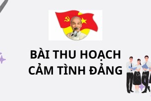 Mẫu bài THU HOẠCH CẢM TÌNH ĐẢNG | 2017