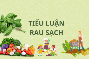 Đề Tài Tiểu luận Rau Sạch - Đồ Án, Đề Tài Tốt Nghiệp (2025)