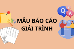 Mẫu báo cáo giải trình | PDF (2025)