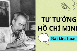 Bài thu hoạch xây dựng Đảng trong sạch vững mạnh | Tư tưởng Hồ Chí Minh (2025)