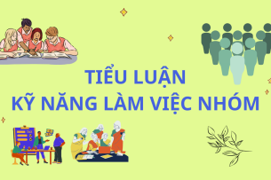 Tiểu luận Kỹ năng làm việc nhóm | PDF | Tổng hợp nhiều trường (2025)