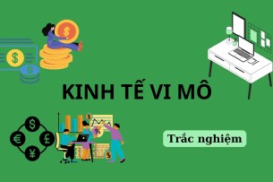 TOP 290 Câu hỏi trắc nghiệm KINH TẾ VI MÔ (có đáp án) | Đại học Nguyễn Tất Thành (2025)