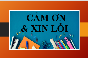 Cách nói: Lời cảm ơn và câu xin lỗi trong tiếng Anh (2025)