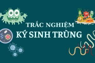 TOP 666 câu hỏi trắc nghiệm Ký sinh trùng (có đáp án) | PDF (2025)