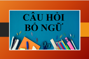 Câu hỏi bổ ngữ: When, Where, How, Why | Cấu trúc, cách dùng câu hỏi bổ ngữ - Bài tập vận dụng (2025)