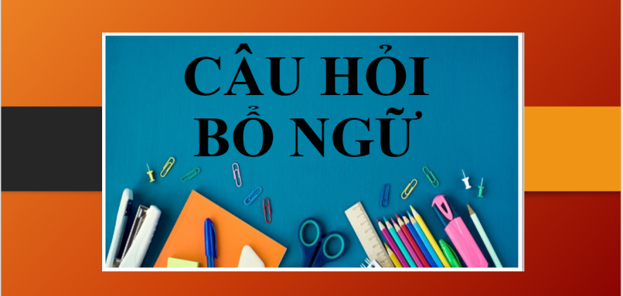 Câu hỏi bổ ngữ: When, Where, How, Why | Cấu trúc, cách dùng câu hỏi bổ ngữ - Bài tập vận dụng