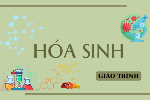 Giáo trình môn Hóa sinh | Trường Đại học Tây Đô (2025)
