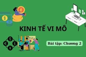 Ngân hàng bài tập Kinh tế vi mô chương 2 (có lời giải) | Đại học Tài chính - Marketing (2025)