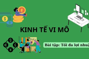 TOP 03 bài tập Tối đa lợi nhuận (có đáp án) | Kinh tế vi mô | Đại học Thăng long (2025)