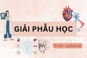 TOP 1000 câu hỏi trắc nghiệm GIẢI PHẪU HỌC | Đại học Đà Nẵng (2025)
